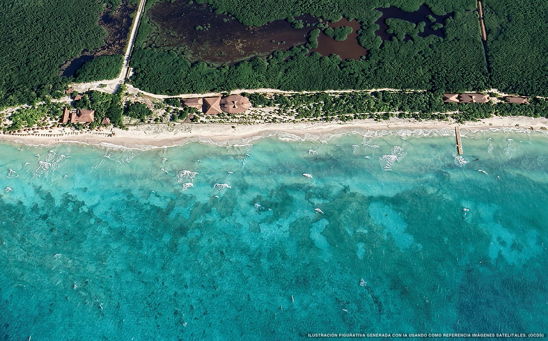 Illustration aérienne de la plage Palancar, Cozumel, Caraïbes mexicaines