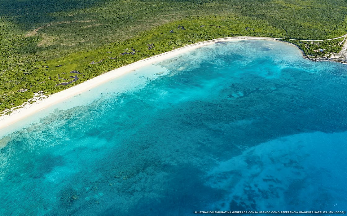Illustration aérienne de la plage Playa La Bonita, Cozumel, Caraïbes mexicaines