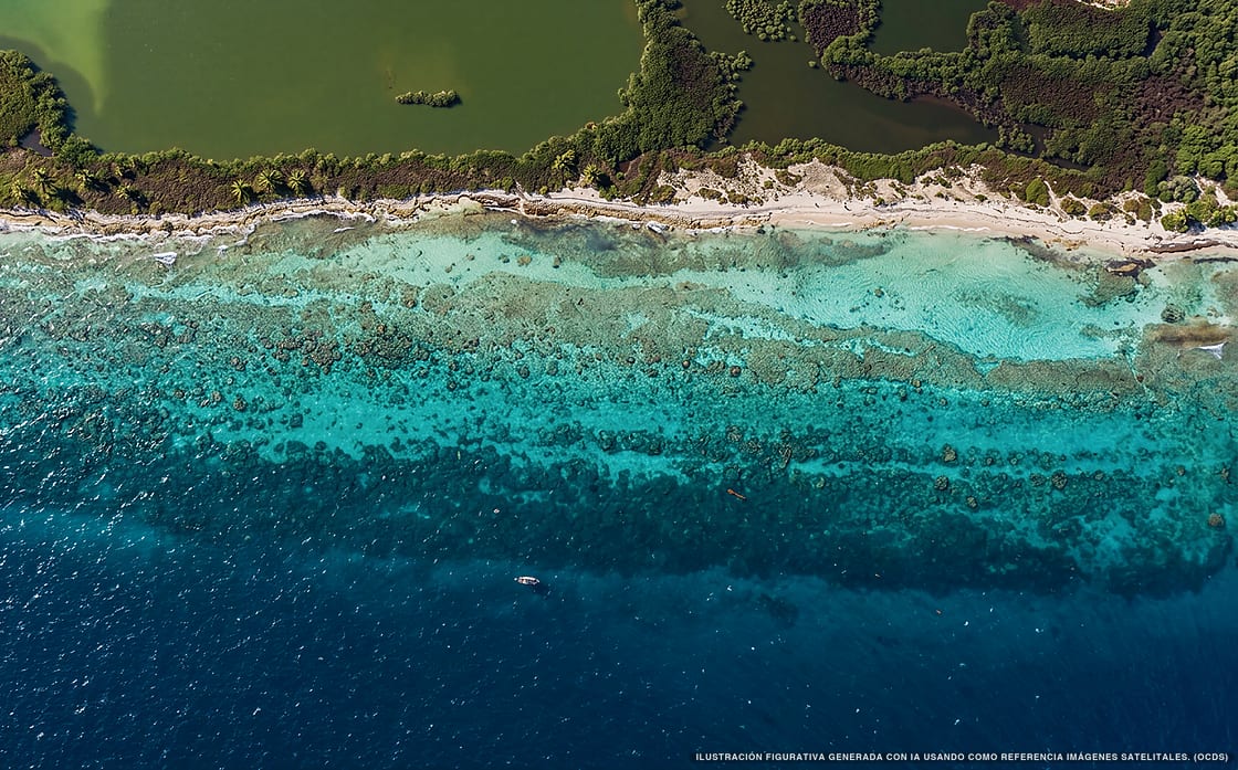 Illustration aérienne de la plage Playa Zamá, Isla Contoy, Caraïbes mexicaines