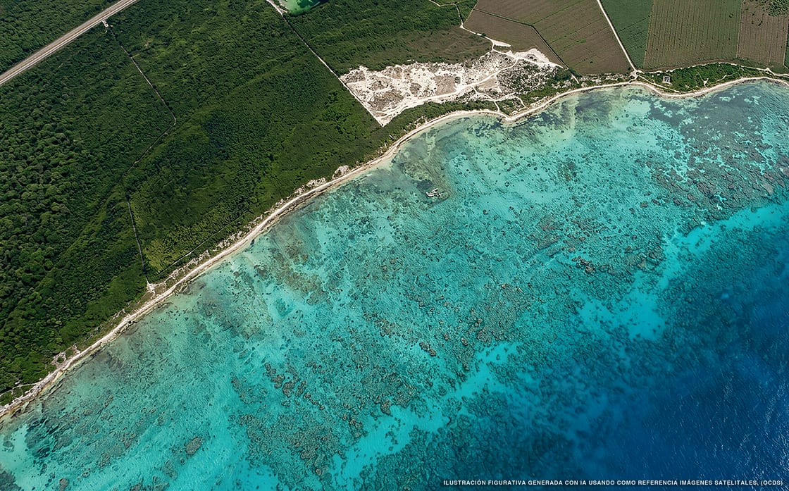 Illustrazione aerea della spiaggia Punta Brava, Puerto Morelos, Caraibi messicani