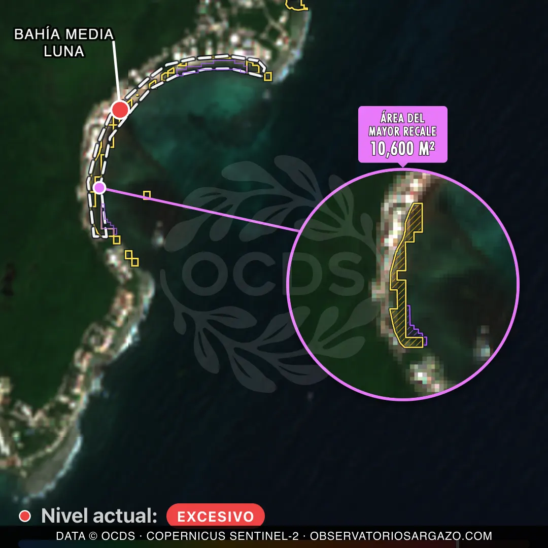 Image satellite des sargasses sur la plage Bahía Media Luna, Akumal — marée brune, 12 octobre 2026