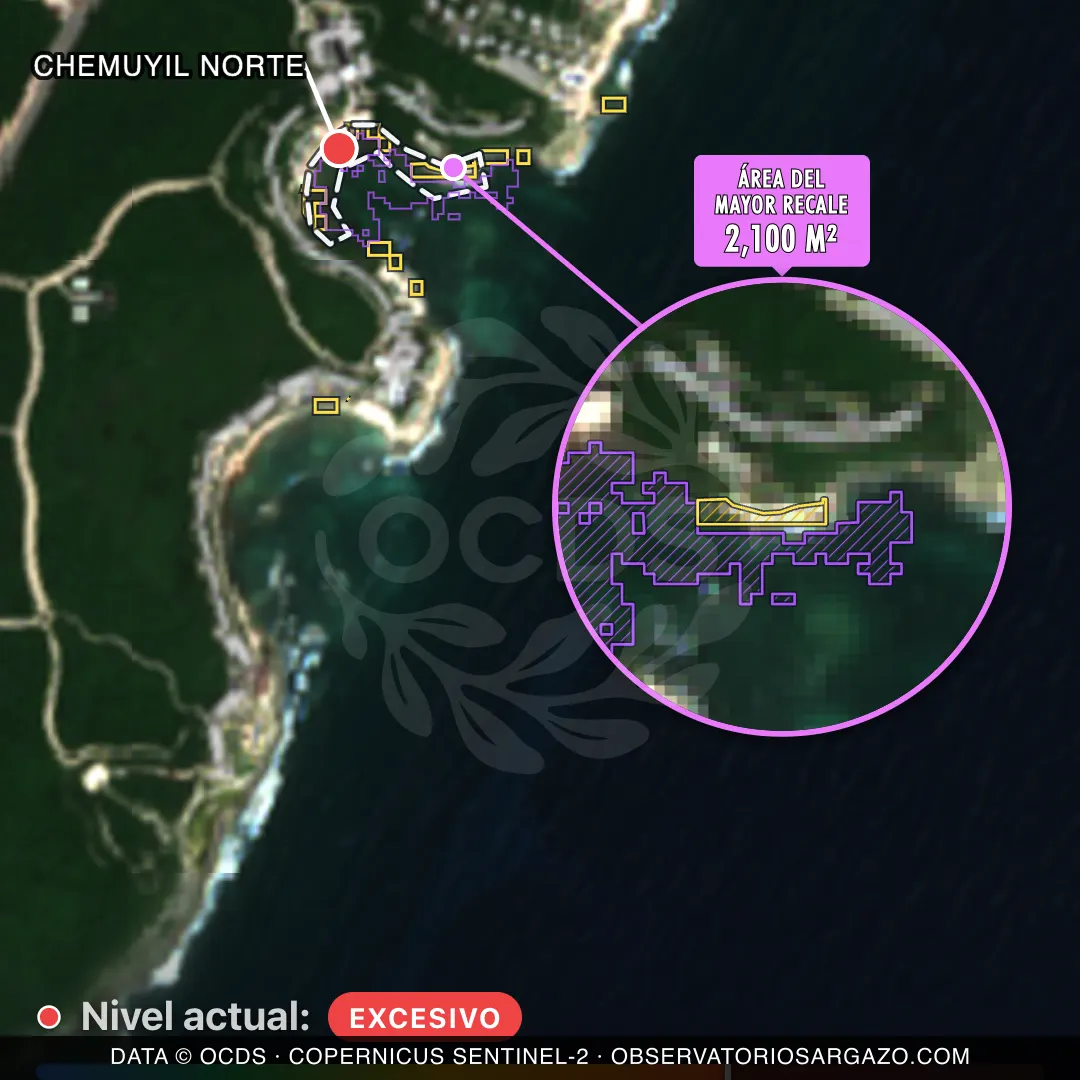Immagine satellitare del sargasso sulla spiaggia Chemuyil Norte, Akumal — marea marrone, 12 ottobre 2026