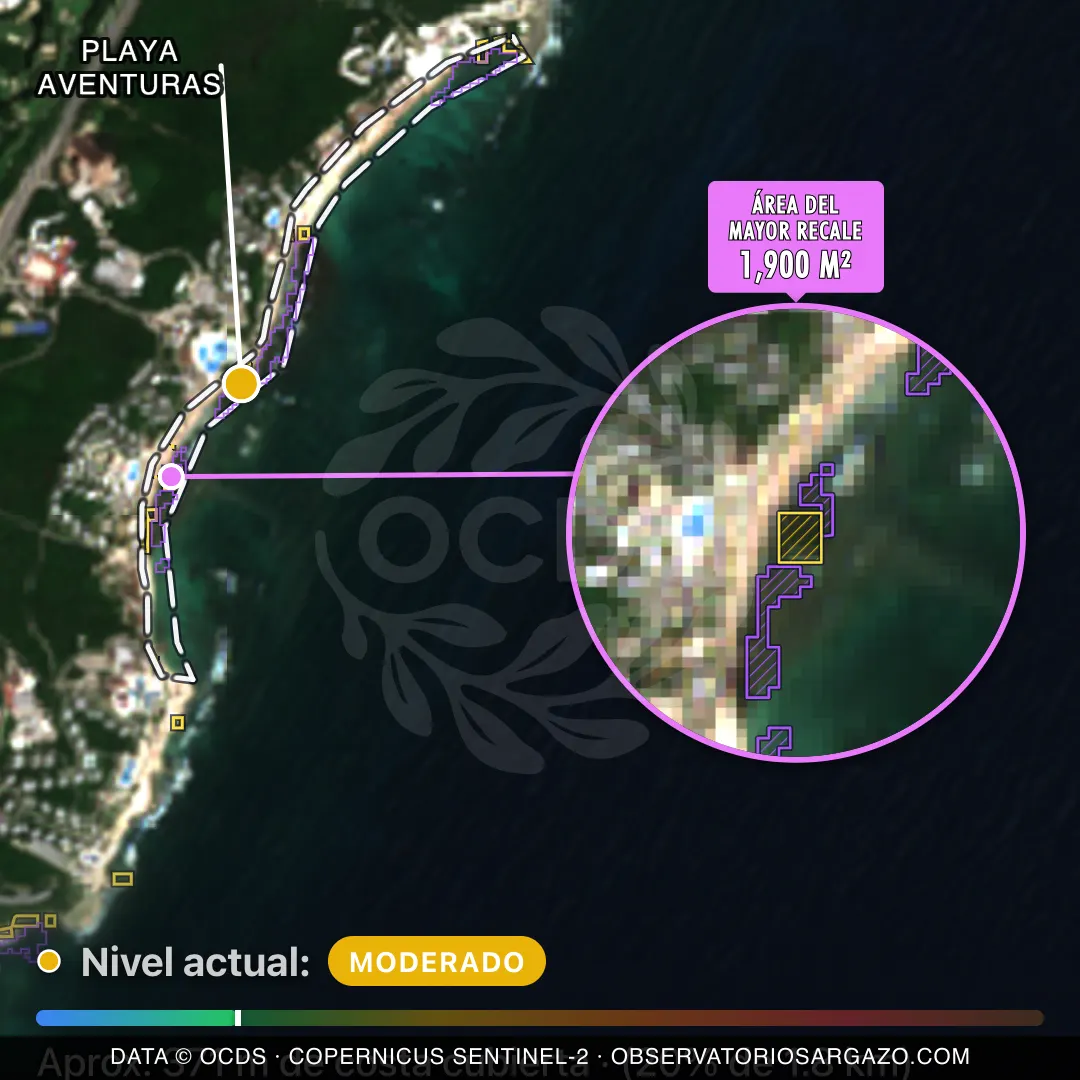 Immagine satellitare del sargasso sulla spiaggia Playa Aventuras, Akumal — marea marrone, 12 ottobre 2026