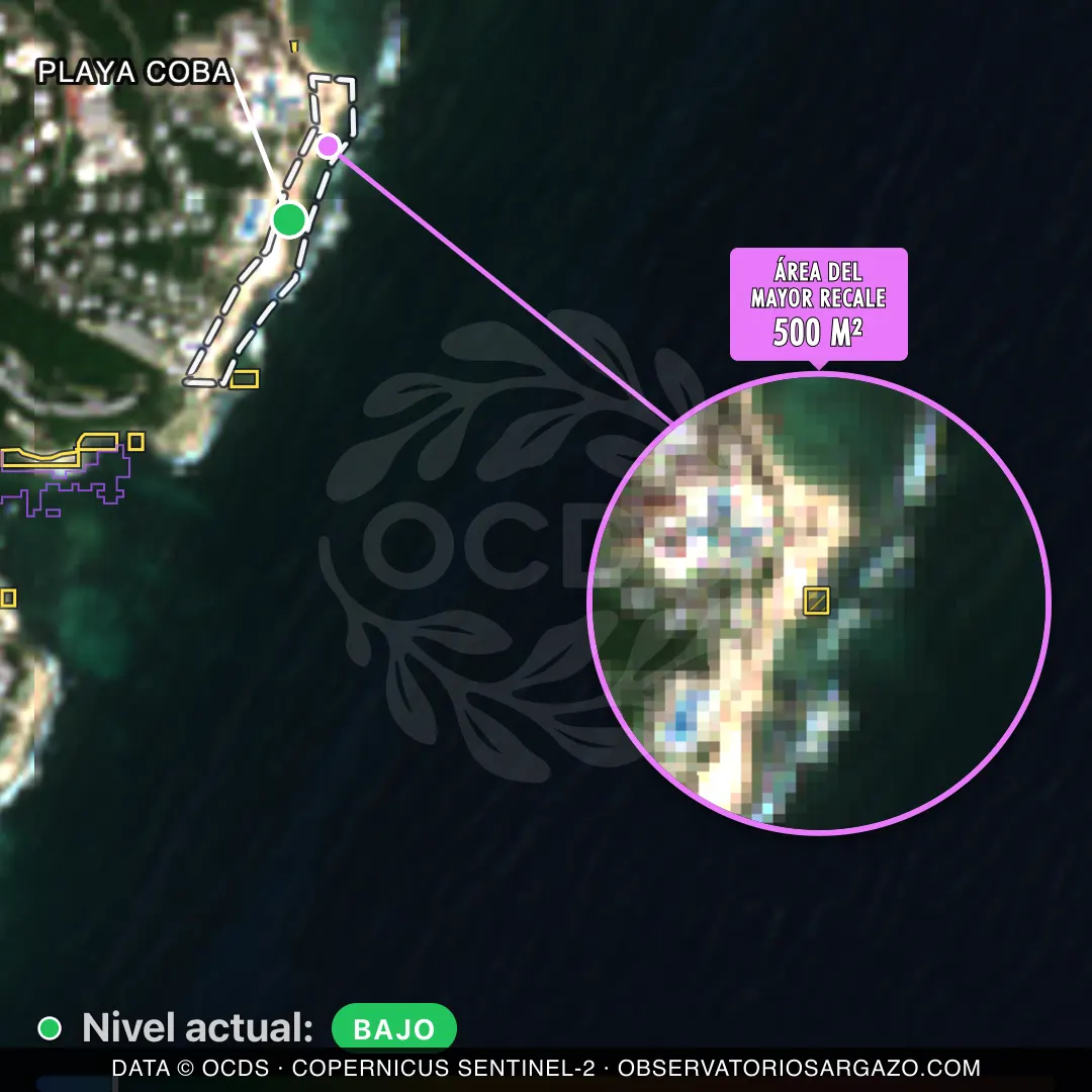 Immagine satellitare del sargasso sulla spiaggia Playa Coba, Akumal — sargasso scarso, 12 ottobre 2026