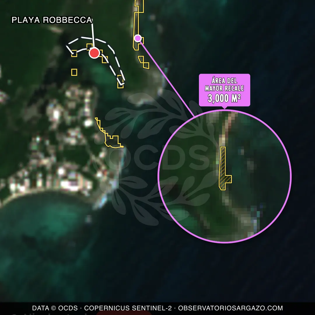Immagine satellitare del sargasso sulla spiaggia Playa Robbecca, Akumal — sargasso eccessivo, 12 ottobre 2026