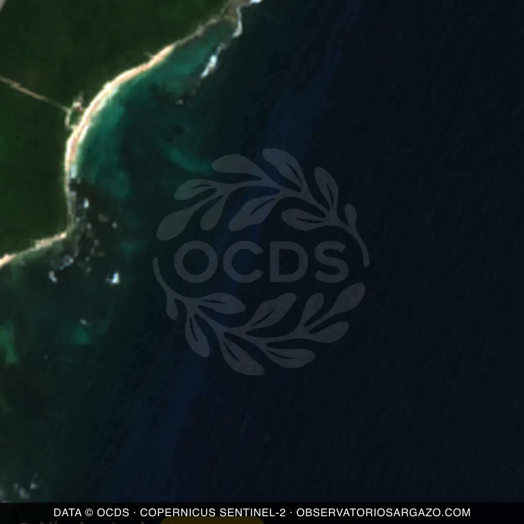 Image satellite des sargasses sur la plage Xcacel, Akumal — marée brune, 12 octobre 2026