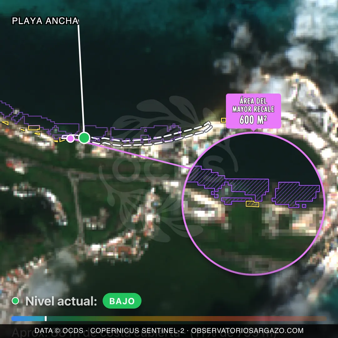 Image satellite des sargasses sur la plage Playa Ancha, Cancún — marée brune, 12 octobre 2026