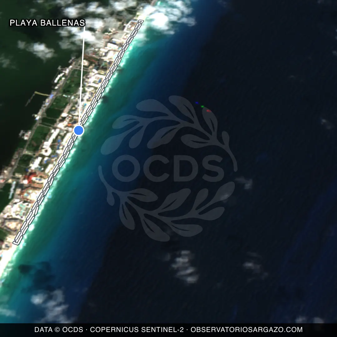 Image satellite des sargasses sur la plage Playa Ballenas, Cancún — sans sargasses, 12 octobre 2026
