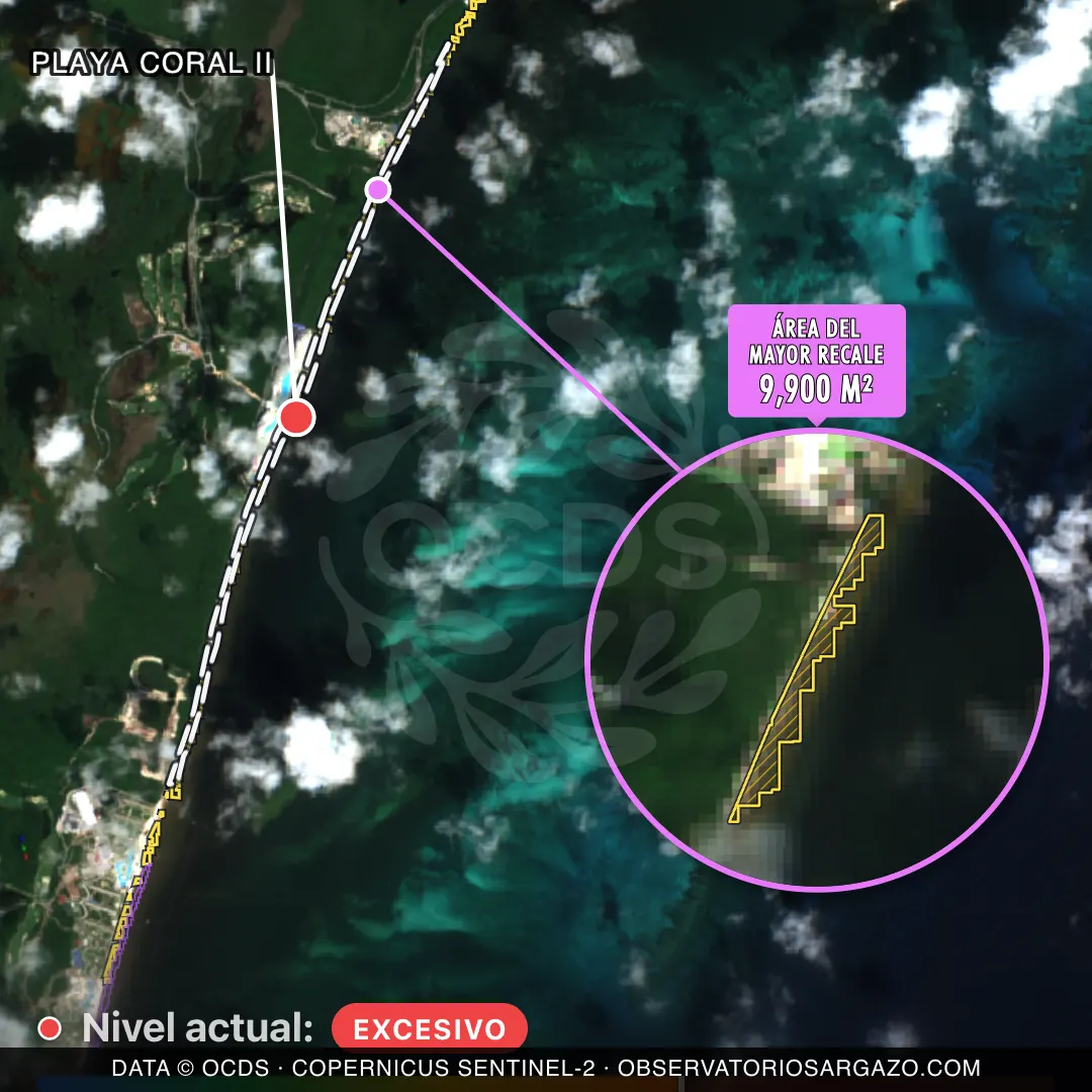 Image satellite des sargasses sur la plage Playa Coral II, Cancún — sargasses excessives, 12 octobre 2026