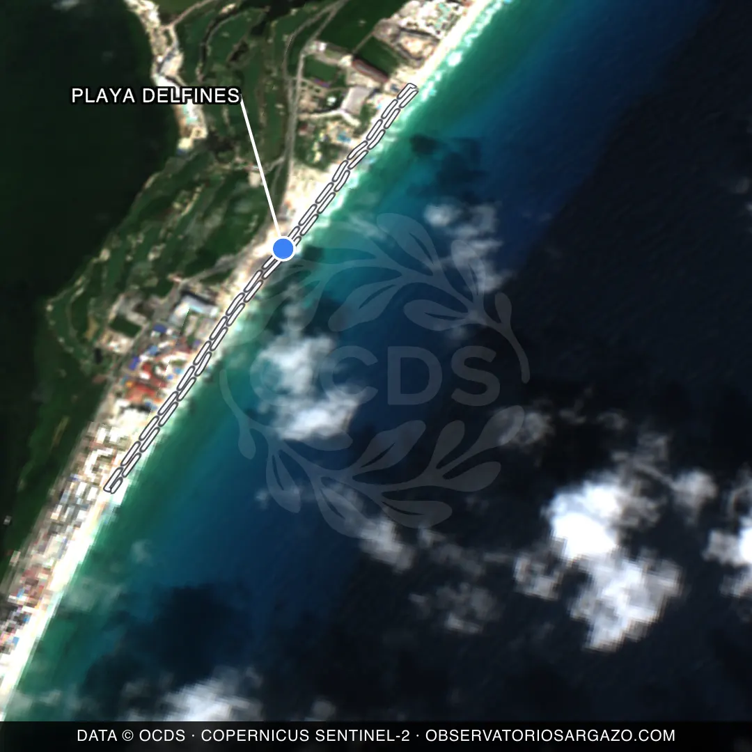 Immagine satellitare del sargasso sulla spiaggia Playa Delfines, Cancún — senza sargasso, 12 ottobre 2026
