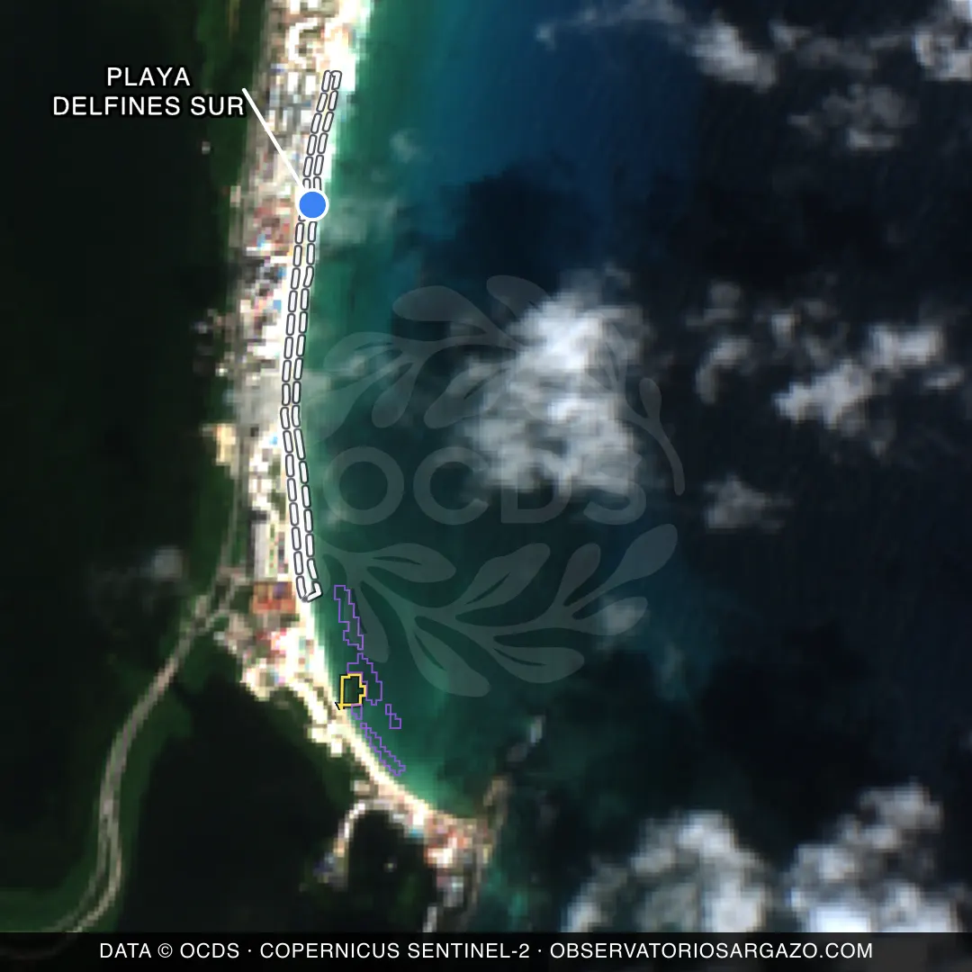 Image satellite des sargasses sur la plage Playa Delfines Sur, Cancún — sans sargasses, 12 octobre 2026