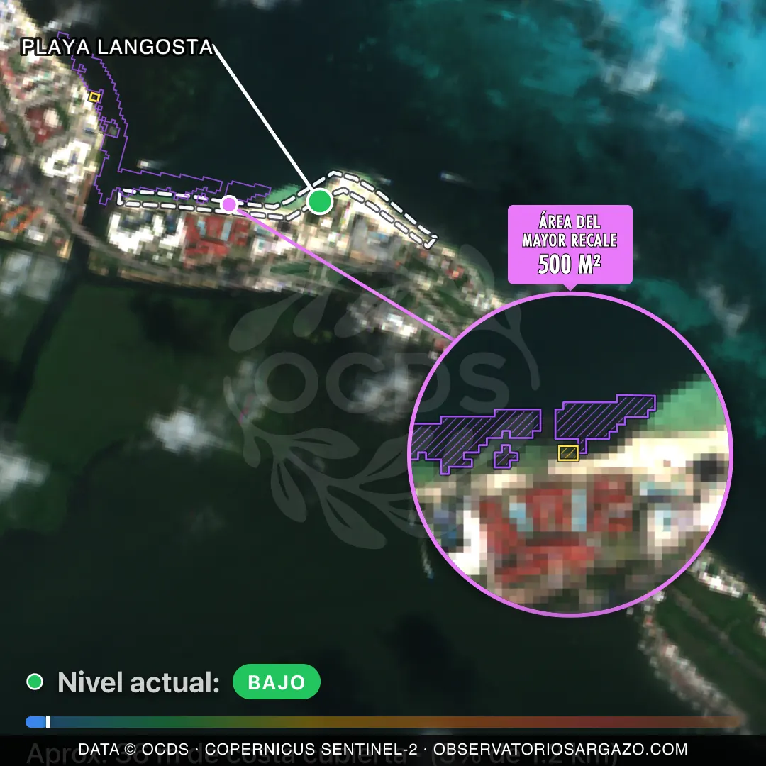 Immagine satellitare del sargasso sulla spiaggia Playa Langosta, Cancún — sargasso scarso, 12 ottobre 2026