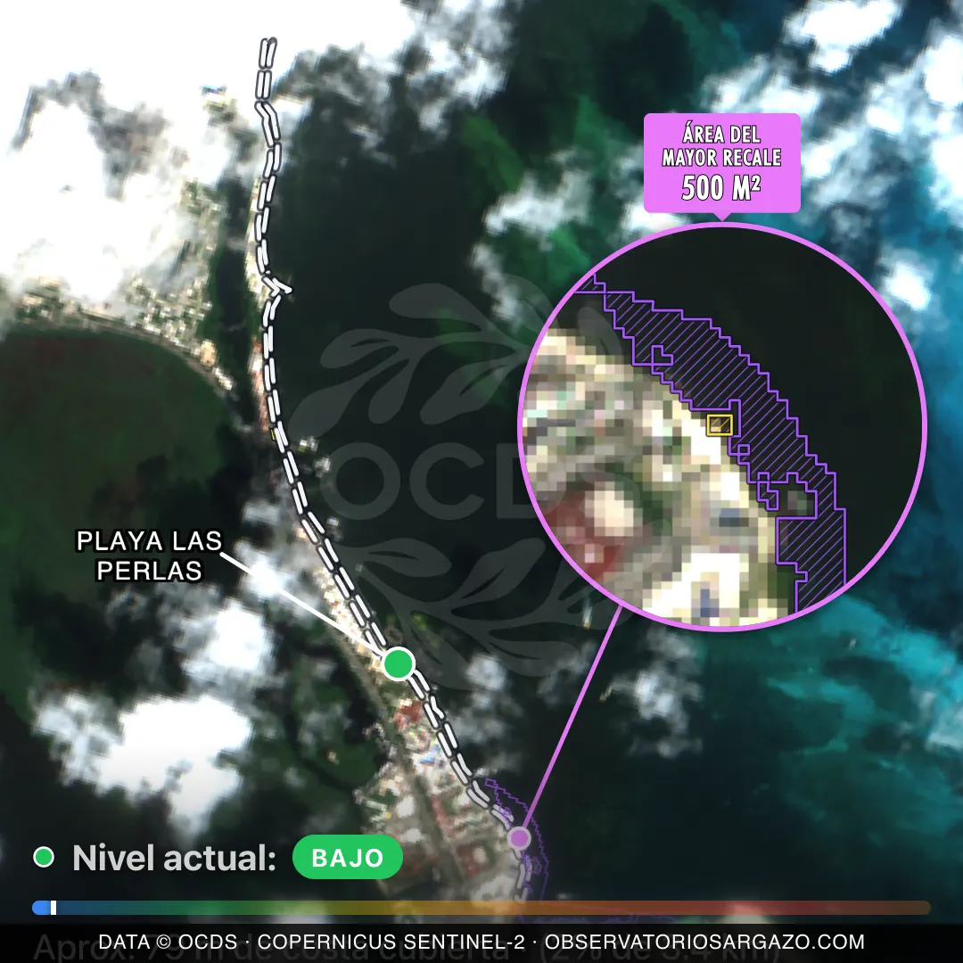 Immagine satellitare del sargasso sulla spiaggia Playa las Perlas, Cancún — sargasso scarso, 12 ottobre 2026