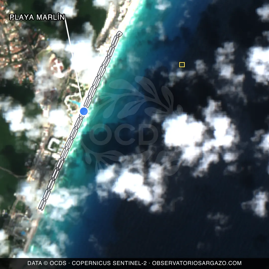 Immagine satellitare del sargasso sulla spiaggia Playa Marlín, Cancún — senza sargasso, 12 ottobre 2026