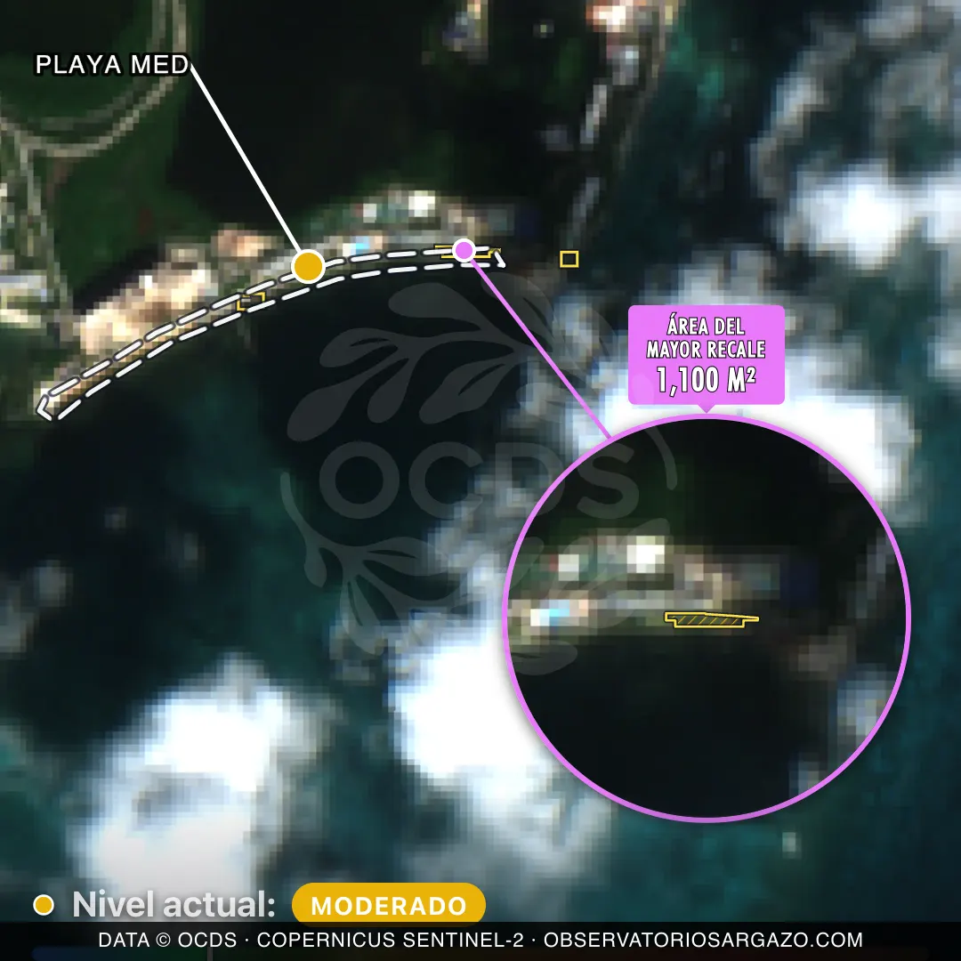 Immagine satellitare del sargasso sulla spiaggia Playa Med, Cancún — sargasso moderato, 12 ottobre 2026