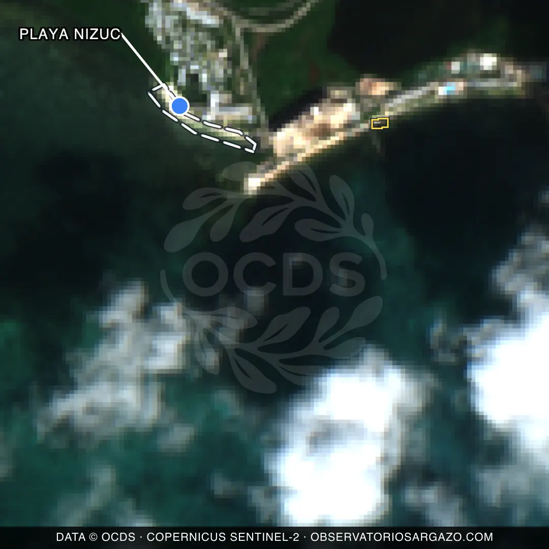 Immagine satellitare del sargasso sulla spiaggia Playa Nizuc, Cancún — senza sargasso, 12 ottobre 2026