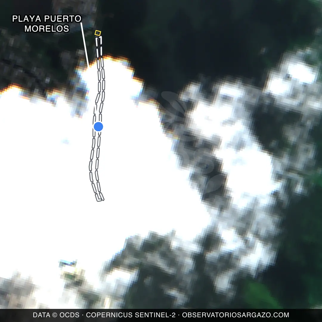 Image satellite des sargasses sur la plage Playa Puerto Morelos, Cancún — non observable, 12 octobre 2026