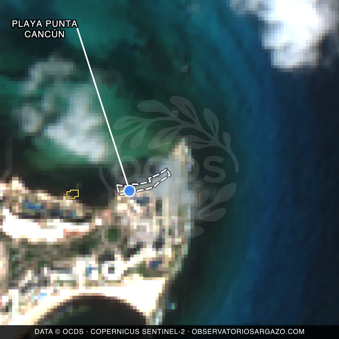 Immagine satellitare del sargasso sulla spiaggia Playa Punta Cancún, Cancún — senza sargasso, 12 ottobre 2026
