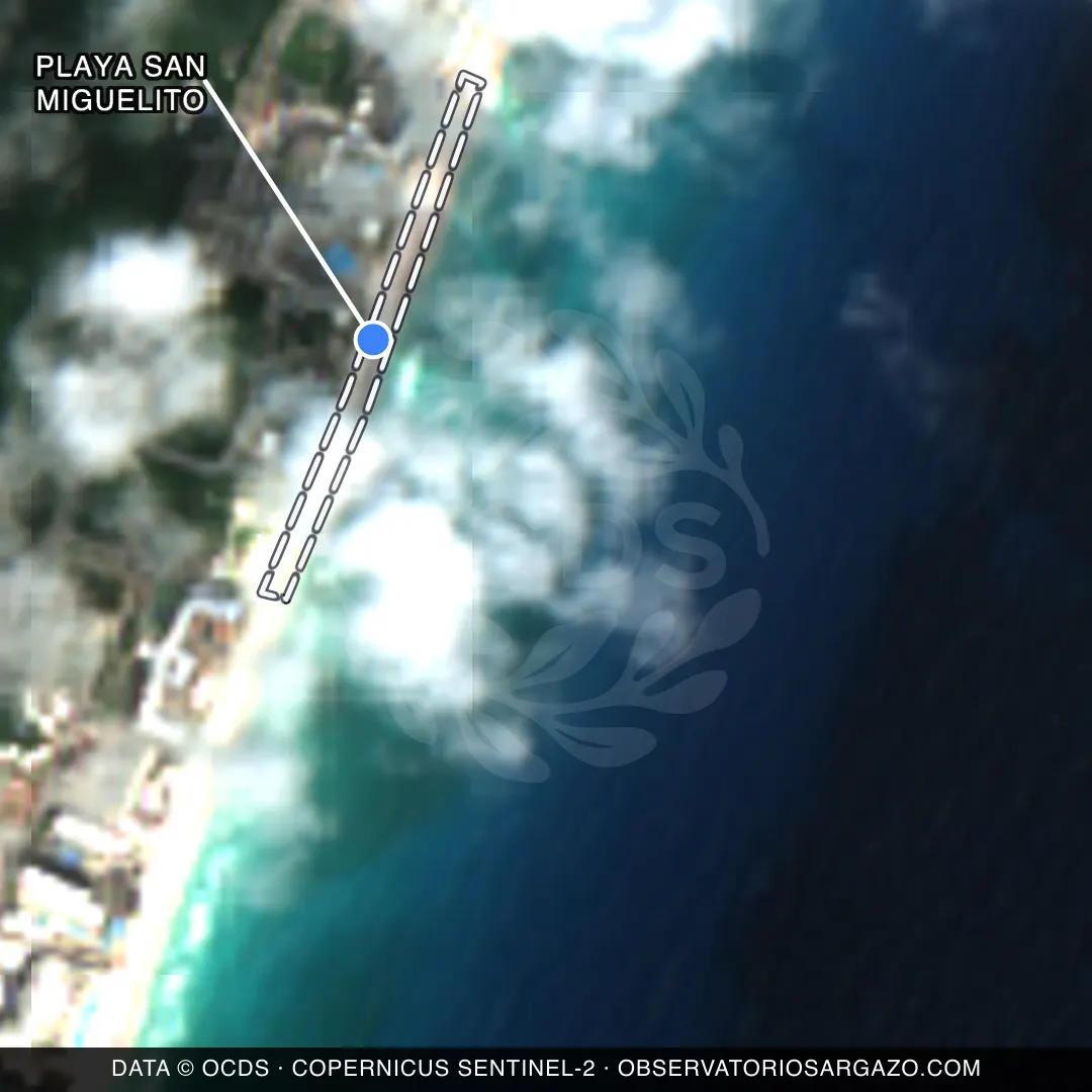 Immagine satellitare del sargasso sulla spiaggia Playa San Miguelito, Cancún — non osservabile, 12 ottobre 2026