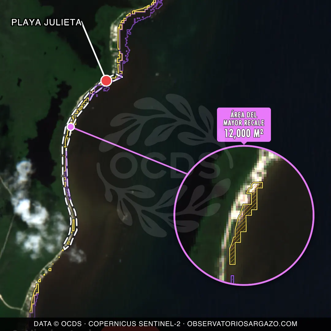 Immagine satellitare del sargasso sulla spiaggia Playa Julieta, Costa Maya — sargasso eccessivo, 12 ottobre 2026