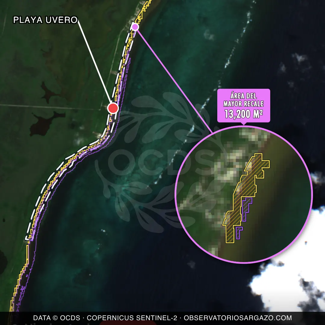 Immagine satellitare del sargasso sulla spiaggia Playa Uvero, Costa Maya — marea marrone, 12 ottobre 2026