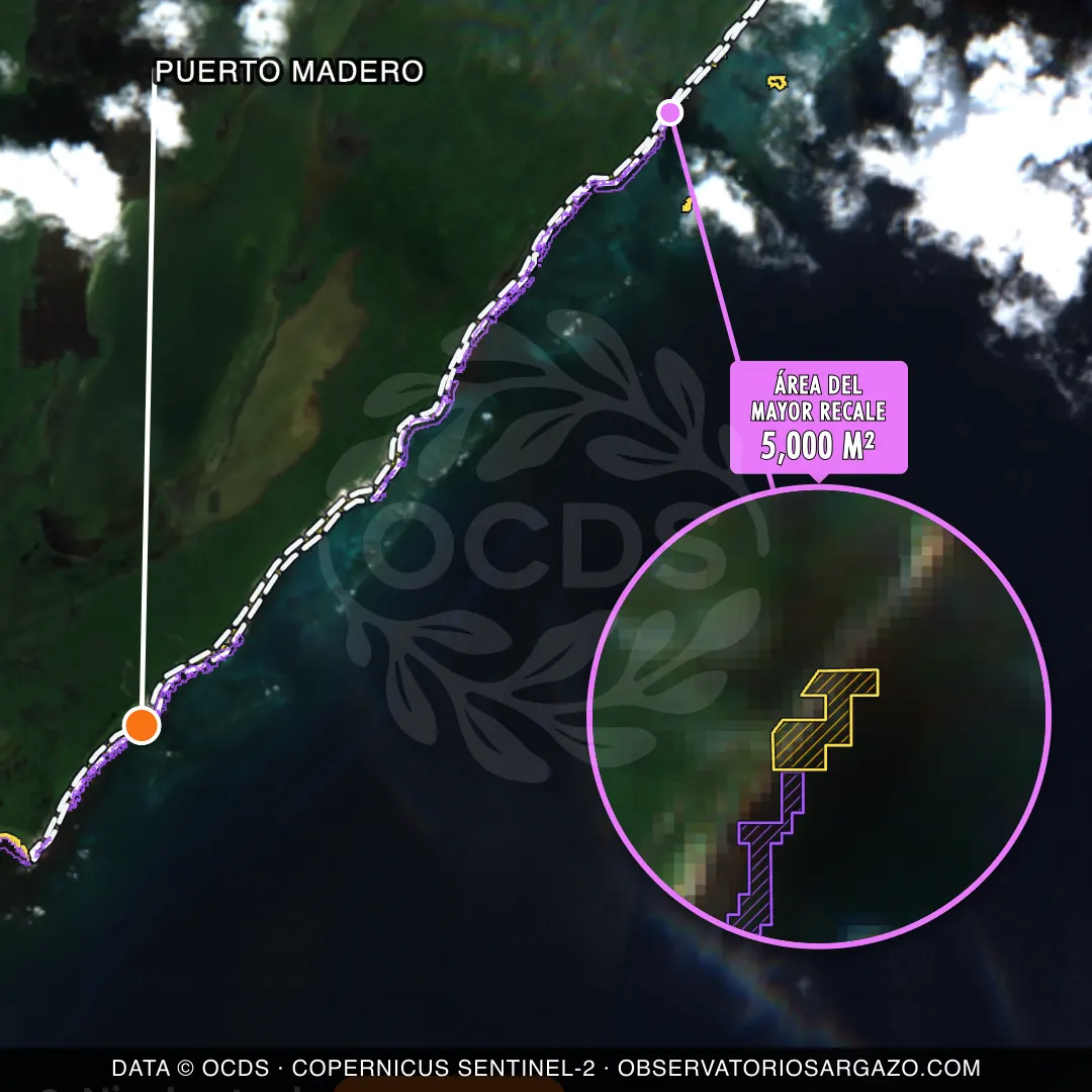 Image satellite des sargasses sur la plage Puerto Madero, Costa Maya — marée brune, 12 octobre 2026