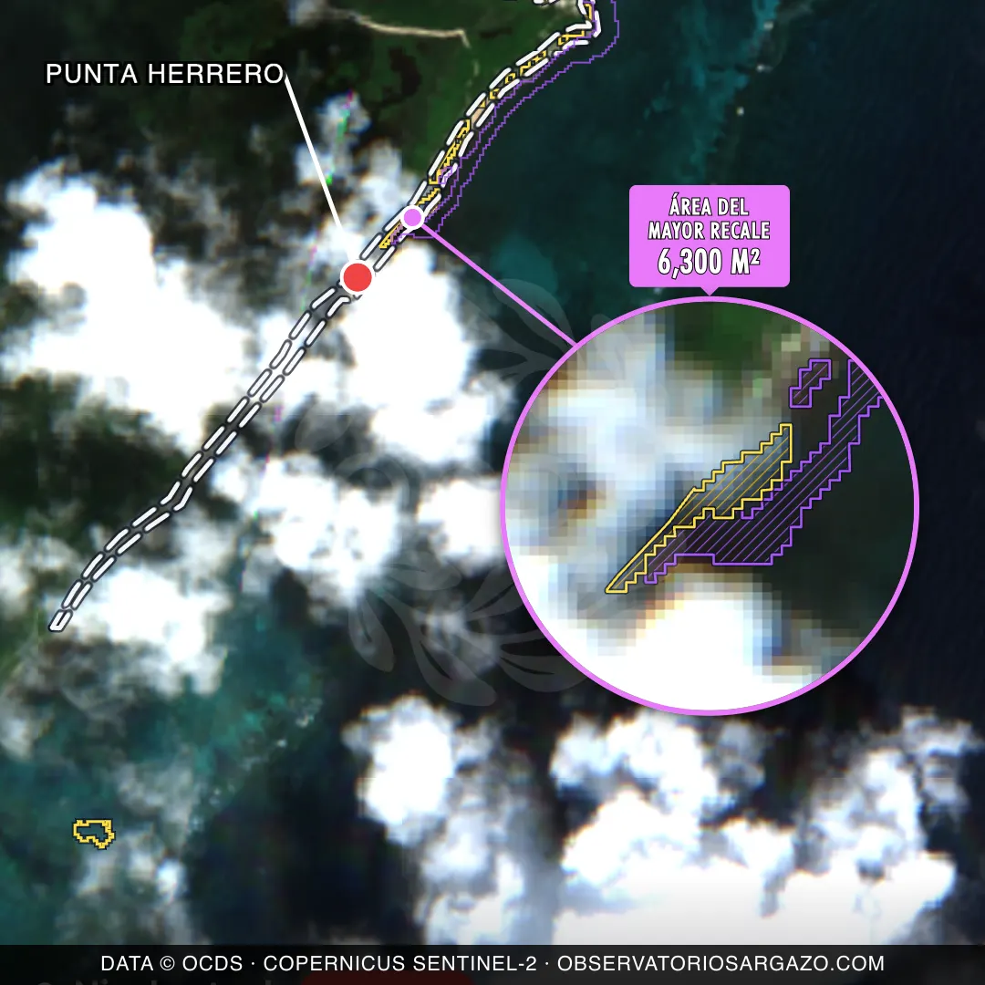 Immagine satellitare del sargasso sulla spiaggia Punta Herrero, Costa Maya — sargasso eccessivo, 12 ottobre 2026