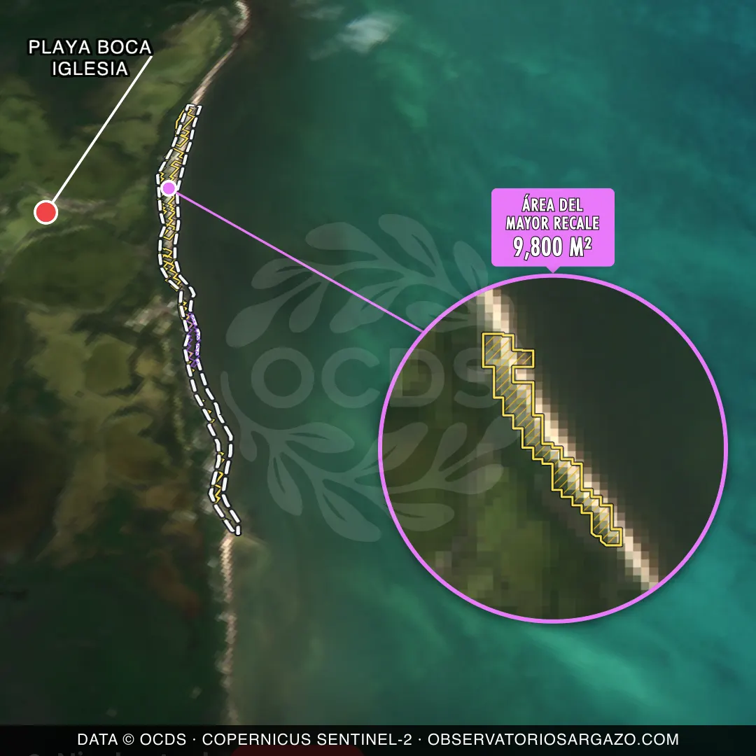 Immagine satellitare del sargasso sulla spiaggia Playa Boca Iglesia, Costa Mujeres — sargasso eccessivo, 12 ottobre 2026