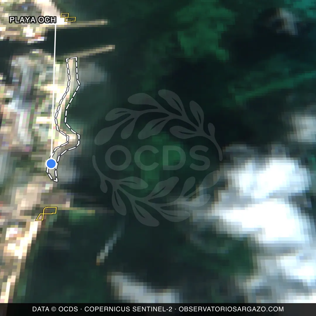 Immagine satellitare del sargasso sulla spiaggia Playa Och, Costa Mujeres — senza sargasso, 12 ottobre 2026