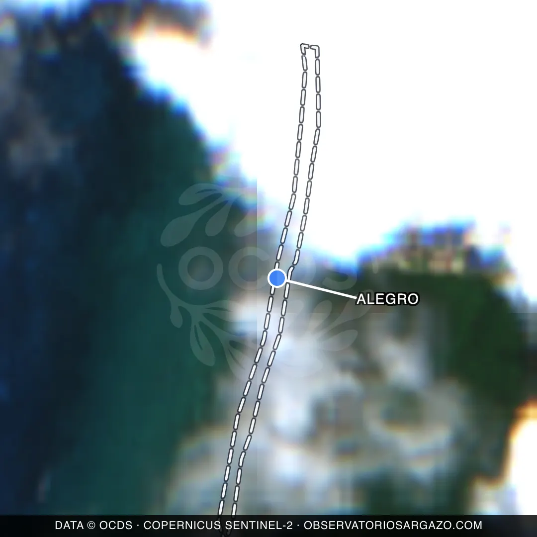 Immagine satellitare del sargasso sulla spiaggia Alegro, Cozumel — non osservabile, 12 ottobre 2026