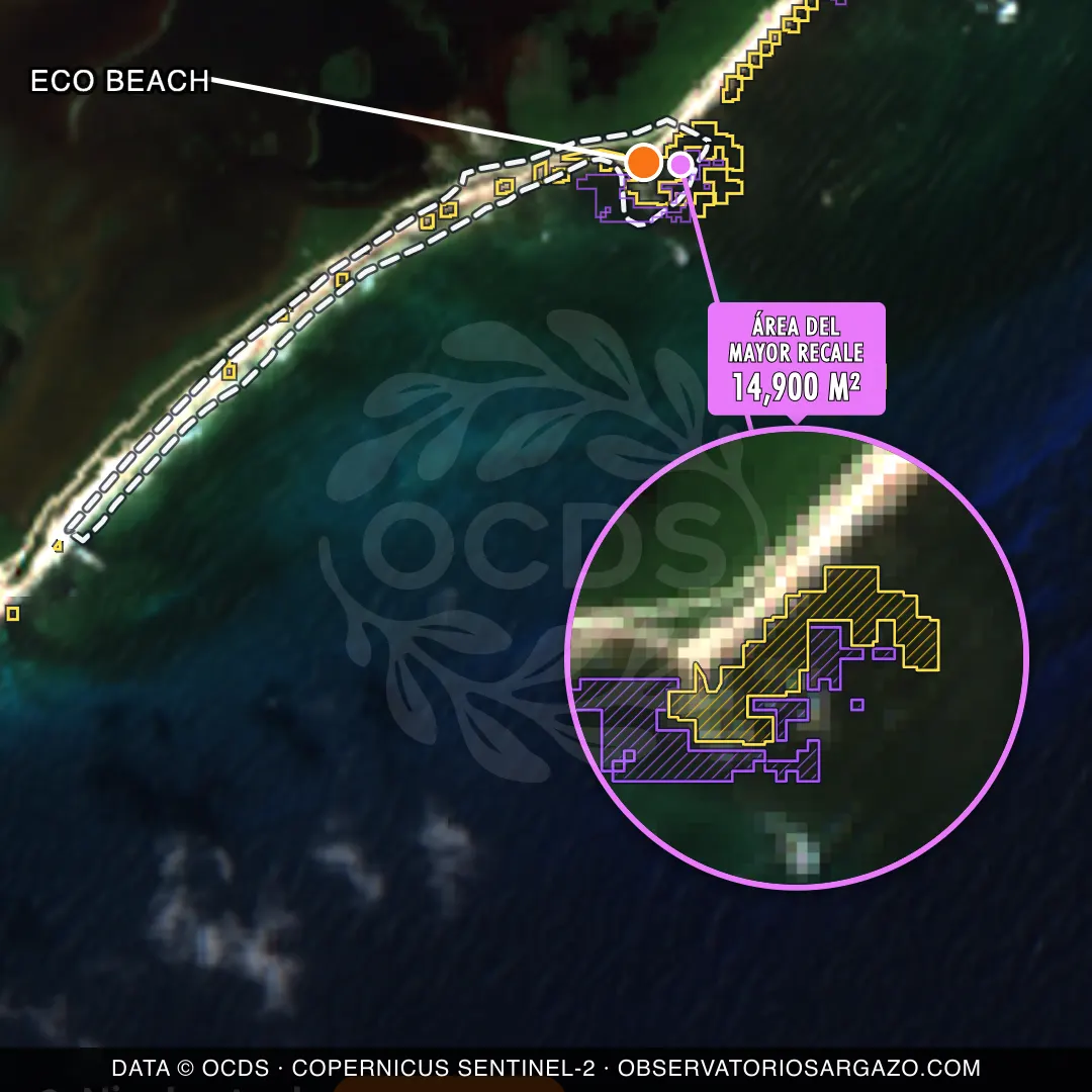 Immagine satellitare del sargasso sulla spiaggia Eco Beach, Cozumel — sargasso abbondante, 12 ottobre 2026