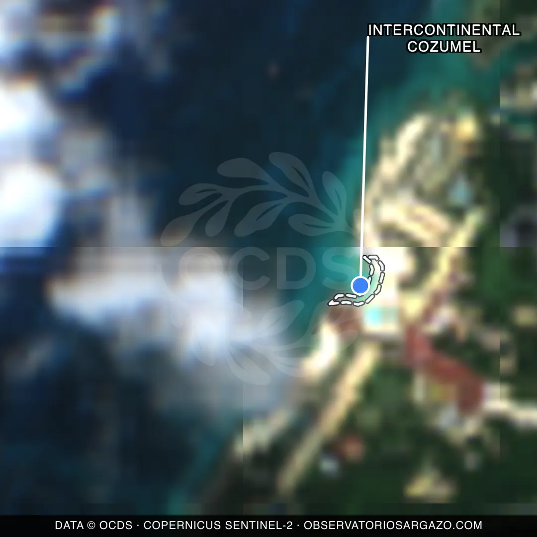Image satellite des sargasses sur la plage Intercontinental Cozumel, Cozumel — sans sargasses, 12 octobre 2026