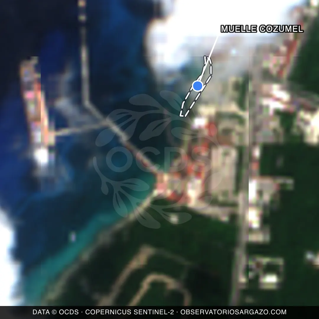 Immagine satellitare del sargasso sulla spiaggia Muelle Cozumel, Cozumel — senza sargasso, 12 ottobre 2026