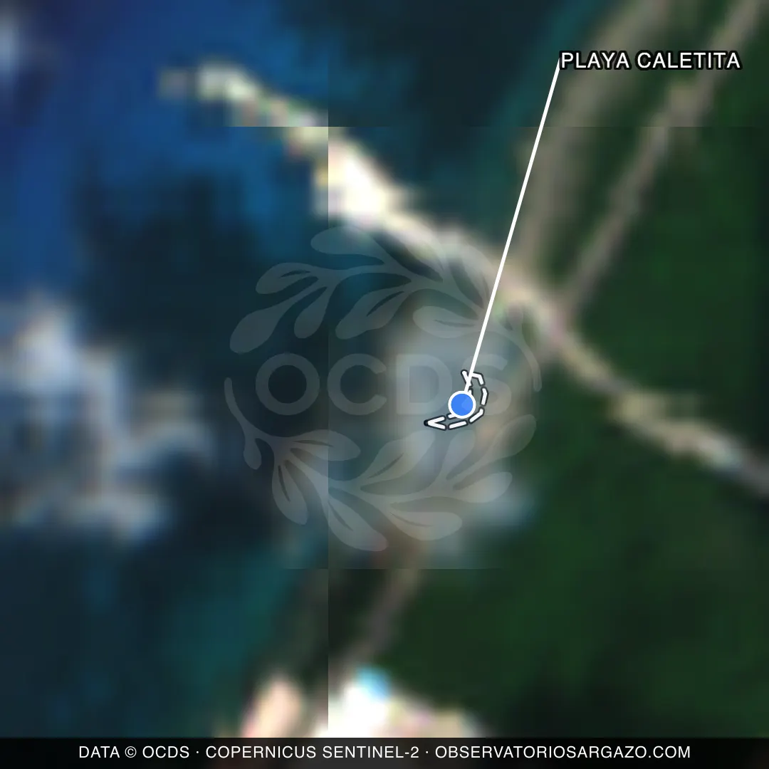 Immagine satellitare del sargasso sulla spiaggia Playa Caletita, Cozumel — non osservabile, 12 ottobre 2026