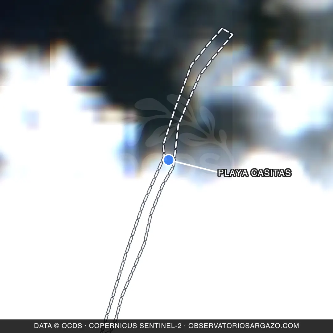 Immagine satellitare del sargasso sulla spiaggia Playa Casitas, Cozumel — senza sargasso, 12 ottobre 2026