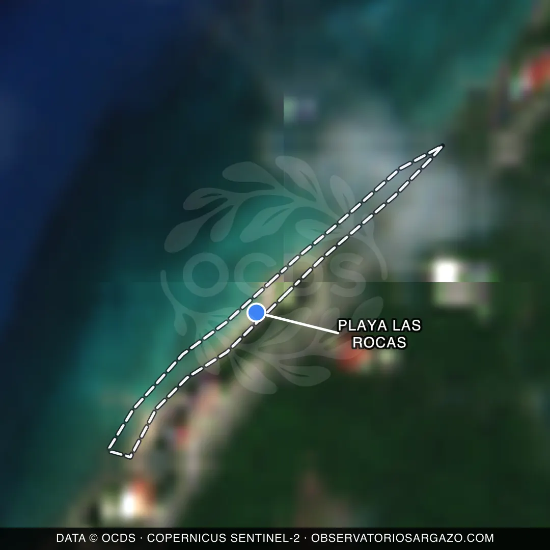 Image satellite des sargasses sur la plage Playa Las Rocas, Cozumel — sans sargasses, 12 octobre 2026