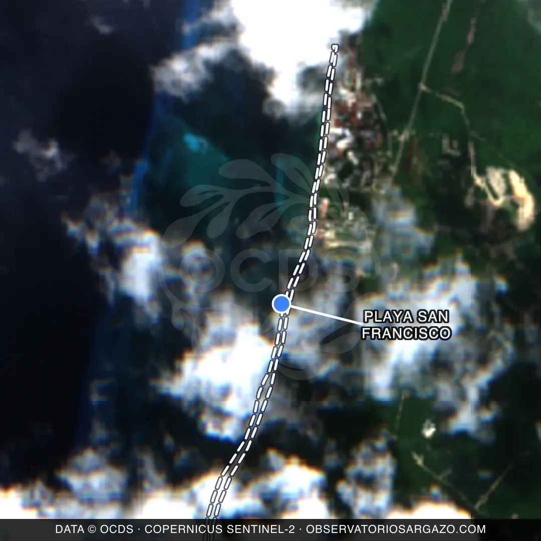 Immagine satellitare del sargasso sulla spiaggia Playa San Francisco, Cozumel — senza sargasso, 12 ottobre 2026