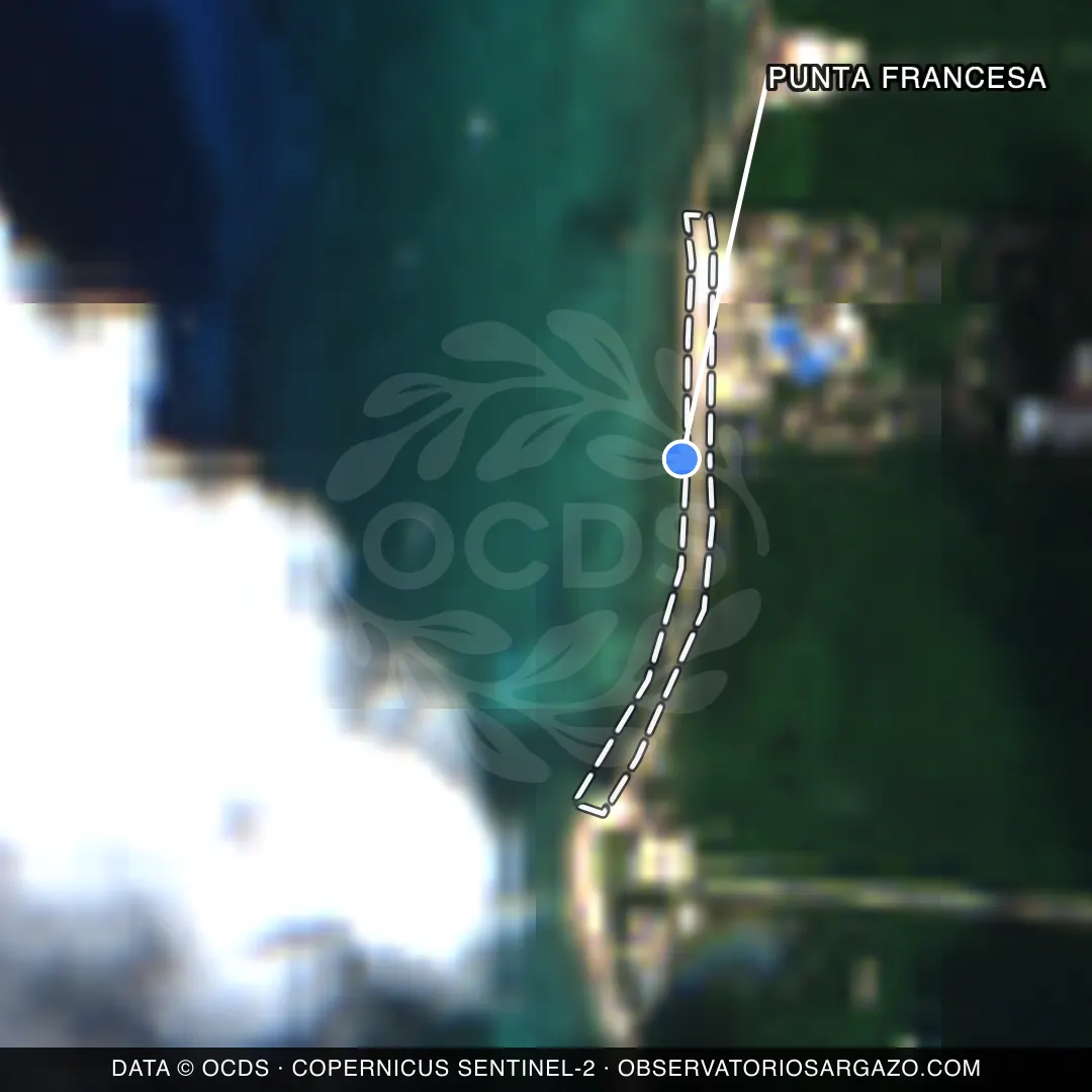 Immagine satellitare del sargasso sulla spiaggia Punta Francesa, Cozumel — senza sargasso, 12 ottobre 2026