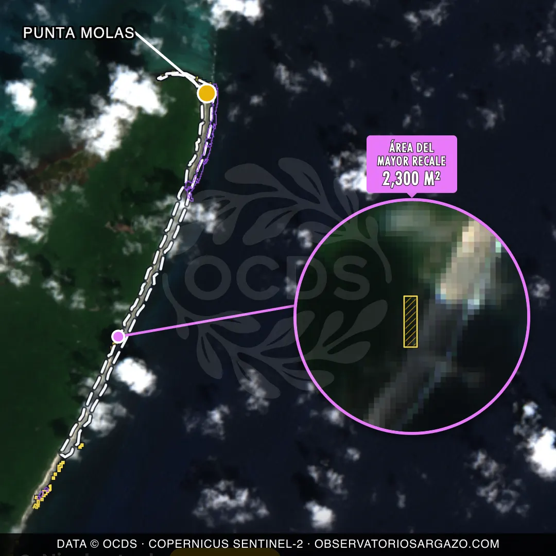 Immagine satellitare del sargasso sulla spiaggia Punta Molas, Cozumel — sargasso moderato, 12 ottobre 2026