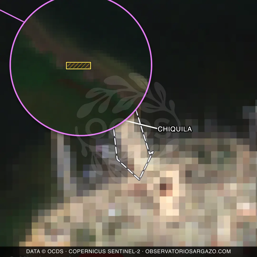 Immagine satellitare del sargasso sulla spiaggia Chiquila, Holbox — sargasso eccessivo, 12 ottobre 2026