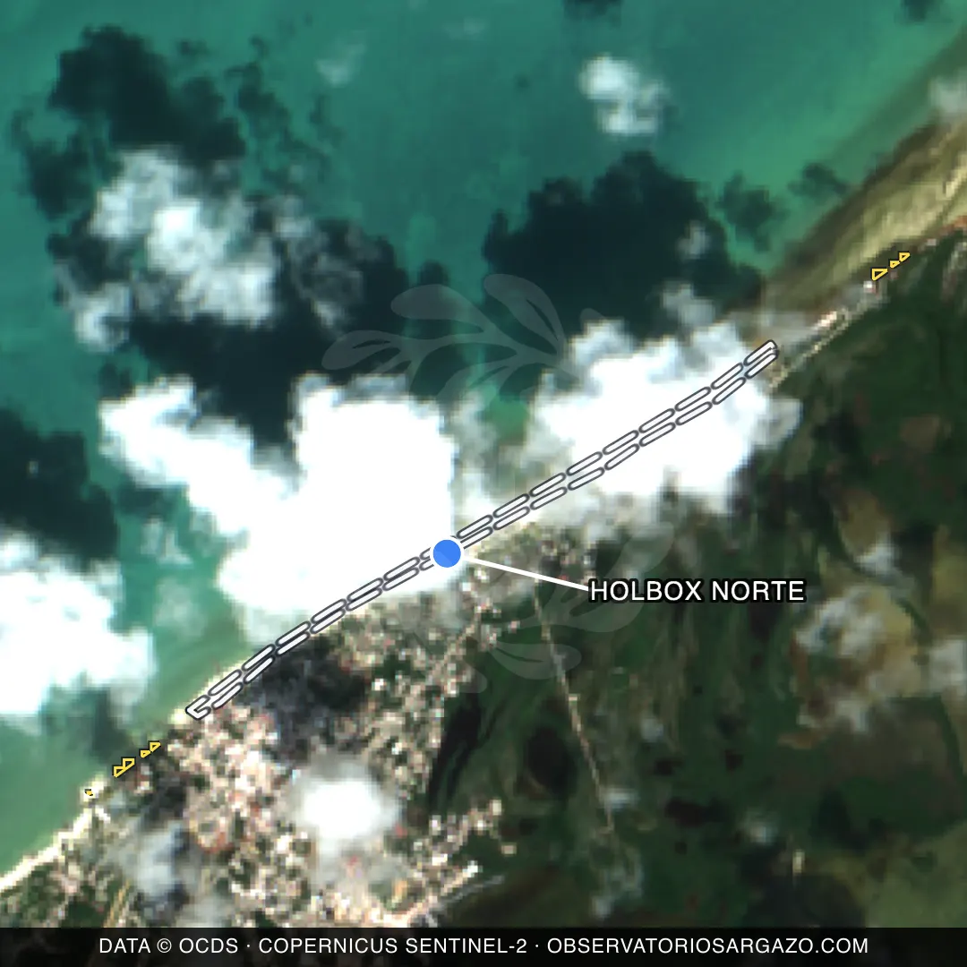 Image satellite des sargasses sur la plage Holbox Norte, Holbox — sans sargasses, 12 octobre 2026
