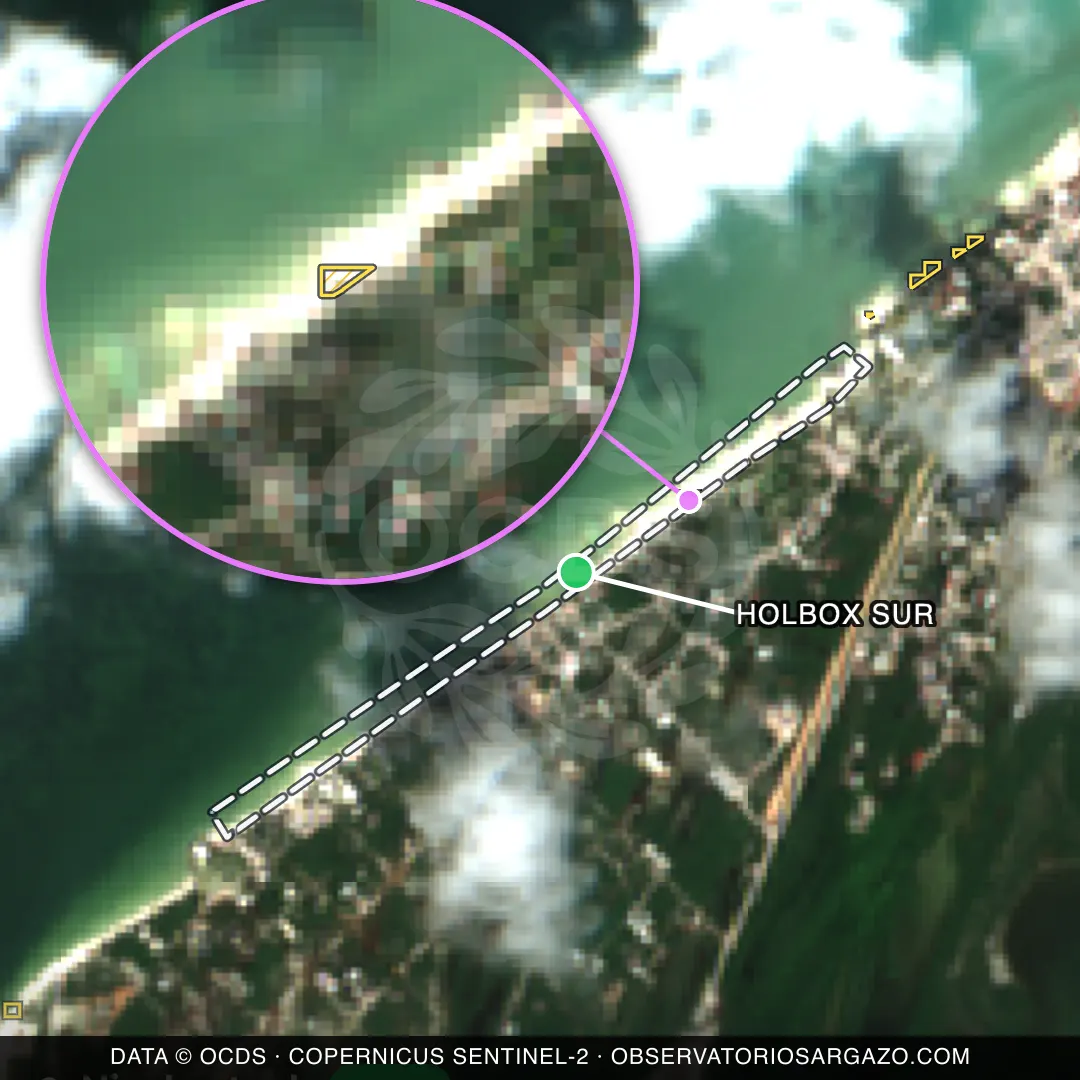 Image satellite des sargasses sur la plage Holbox Sur, Holbox — peu de sargasses, 12 octobre 2026