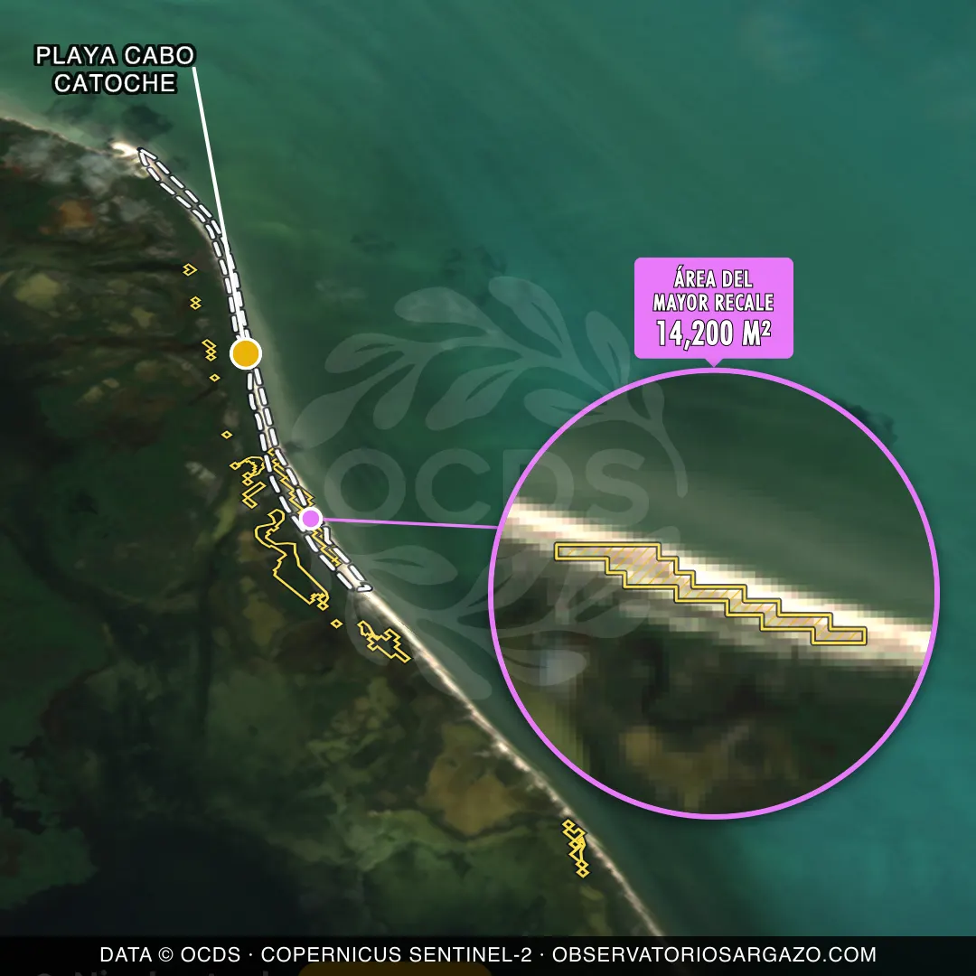 Immagine satellitare del sargasso sulla spiaggia Playa Cabo Catoche, Holbox — sargasso moderato, 12 ottobre 2026