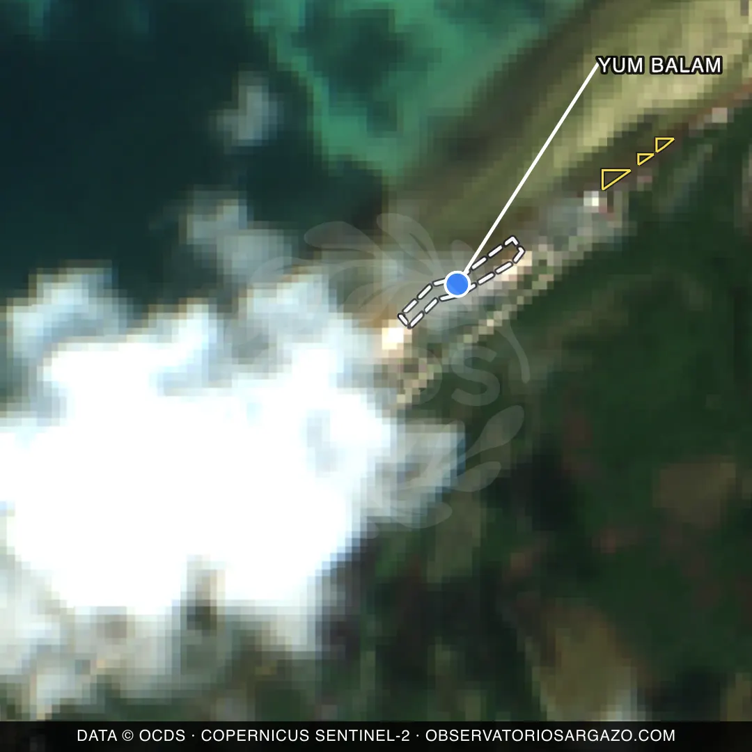 Immagine satellitare del sargasso sulla spiaggia Yum Balam, Holbox — senza sargasso, 12 ottobre 2026