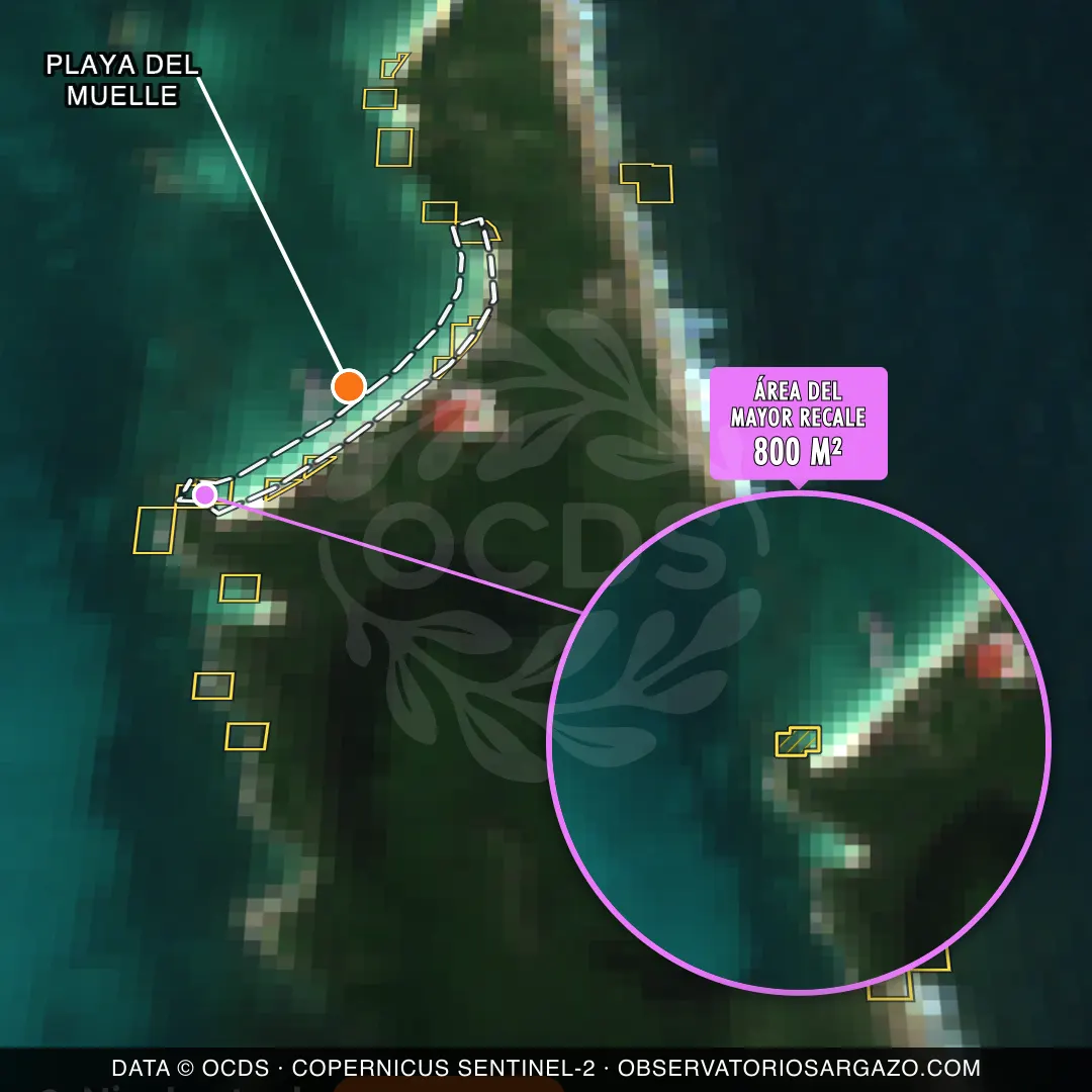 Image satellite des sargasses sur la plage Playa del Muelle, Isla Contoy — sargasses abondantes, 12 octobre 2026