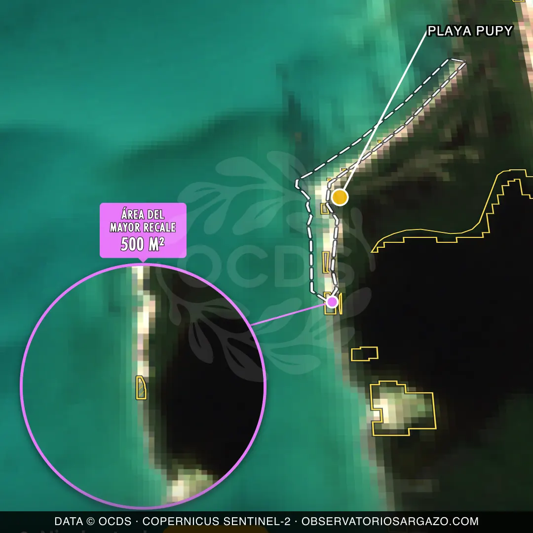 Immagine satellitare del sargasso sulla spiaggia Playa Pupy, Isla Contoy — sargasso moderato, 12 ottobre 2026