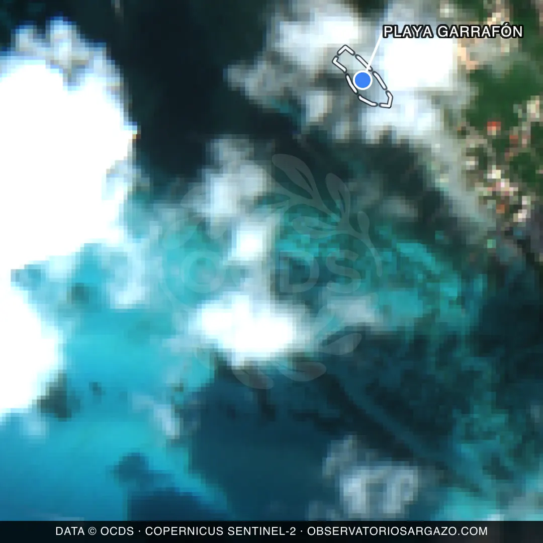Image satellite des sargasses sur la plage Playa Garrafón, Isla Mujeres — non observable, 12 octobre 2026