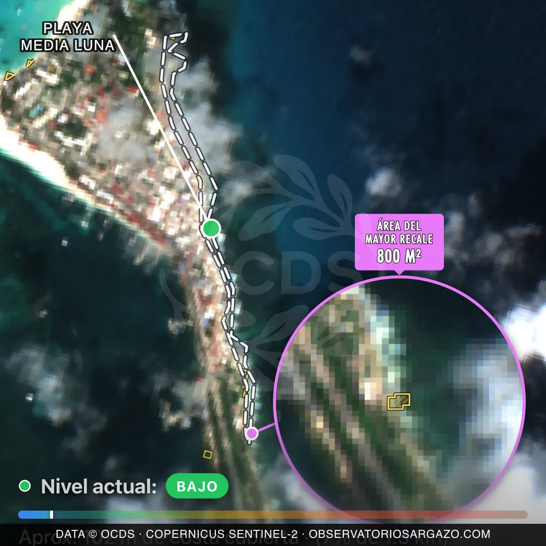 Immagine satellitare del sargasso sulla spiaggia Playa Media Luna, Isla Mujeres — sargasso scarso, 12 ottobre 2026