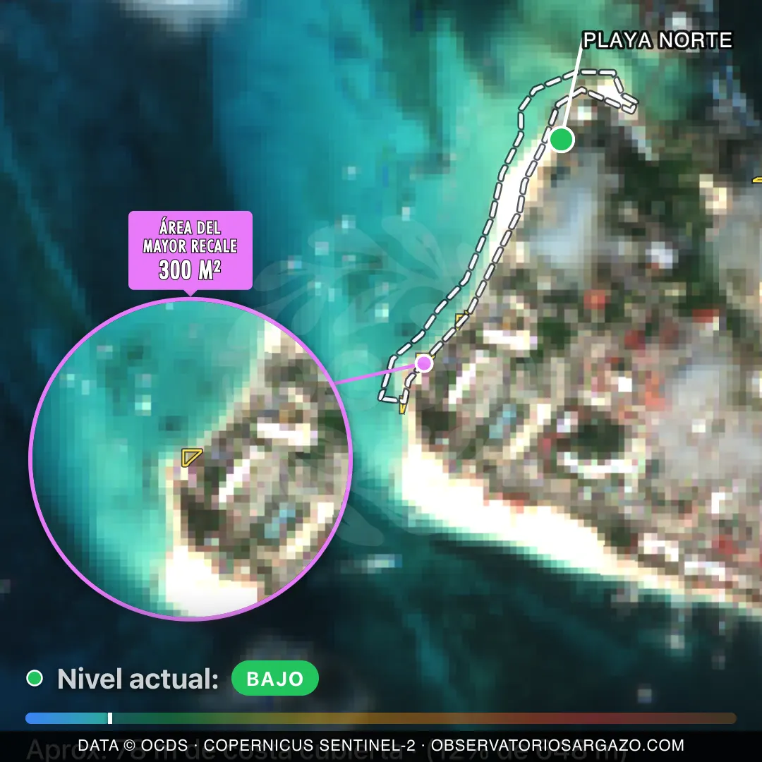 Image satellite des sargasses sur la plage Playa Norte, Isla Mujeres — peu de sargasses, 12 octobre 2026