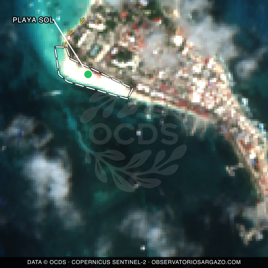 Image satellite des sargasses sur la plage Playa Sol, Isla Mujeres — peu de sargasses, 12 octobre 2026